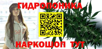 мяу мяу мука Гусев