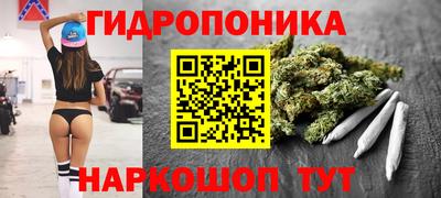 трава Гусь-Хрустальный